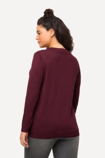 Plus size veliki brojevi Pulover s V ovratnikom za punije